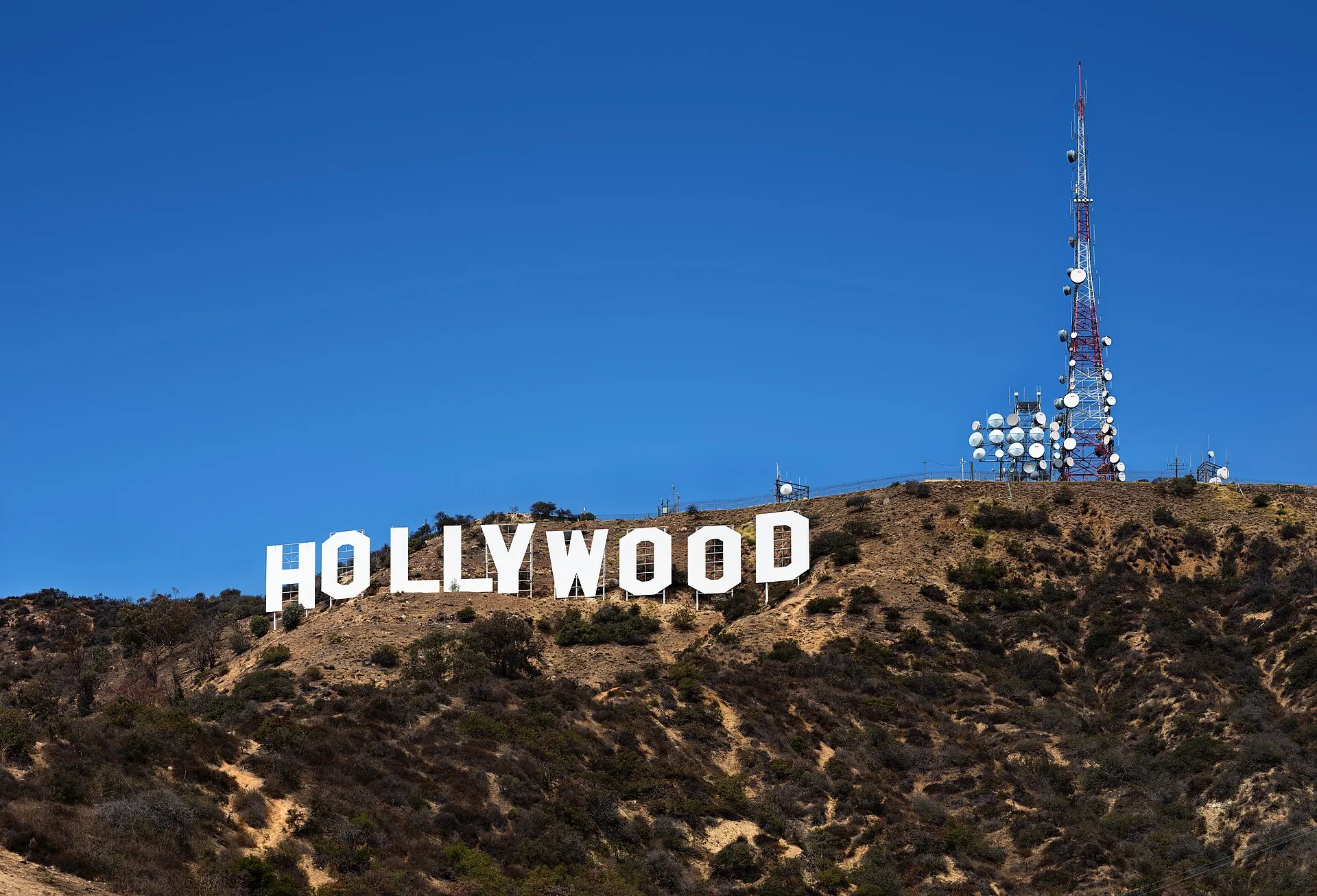 hollywood